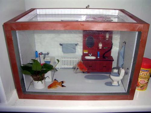 bathroom-fish-tank.jpg
